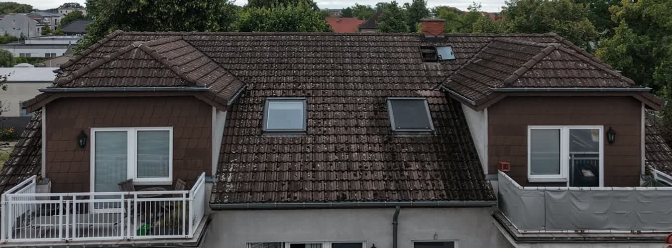Dachfläche mit Moos- und Algenbefall vor der Bearbeitung